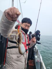 26년 3월 28일 오천항K-1호 봄 왕쭈꾸미 출조 조황~