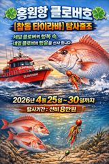 [참돔 타이라바] 2026년 탐사출조