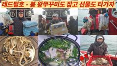 4월도 봄왕쭈꾸미낚시는 계속됩니다.
