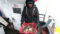 피싱매니아 2026년4월3일 봄쭈꾸미 조황입니다