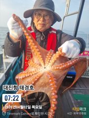 피문어