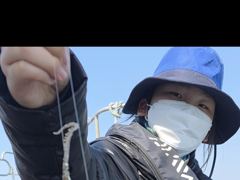 봄 ☆알쭈꾸미☆ 5월9일까지