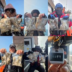 4월11일 알쭈꾸미조황
