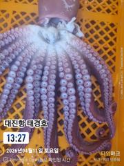 최북단 대왕 피문어조항