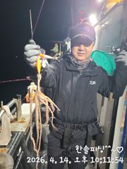 4월14일 대낙지 조황