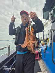11일13일문어조황