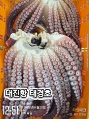 4월25일 대왕피문어 조항 올려 드립니다.