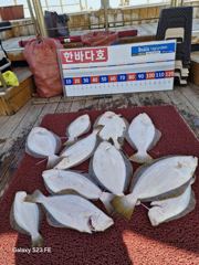 4월25일 대광어 출조 조황입니다 ~^^ 여기저기서 히트.히트.ㅎㅎㅎ 오늘도 조사님들 열낚하시느라 고생하셨습니다 ????낼 또 힛트 합시당^^감사합니다 ❤️