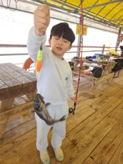 4.25 성호좌대 조황소식