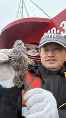 오늘의조황 - 2026년04월11일 - 궁평항 바다피싱 - 바다낚싯배