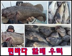 바다의신 5월 출조 안내