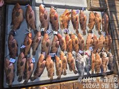 5월1일 바람~~똥바람ㅠㅠㅠ