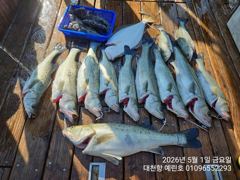 5월1일 조황입니다
