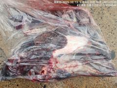 오늘의조황 - 우럭광어다운샷 - 원산도 오복피싱,배낚시 전문