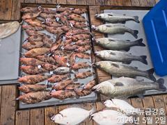 5월2일 뉴금강호 수산시장~~ㅋㅋ
