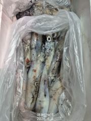 ★ 5월 2일(토)  한치이카메탈 조황 ㅡ30미터권까지 부상이 되었어요 곧 청기백기도 가능하겠다는 생각이 드네요 ㅡ 5일(화)부터 출조합니다