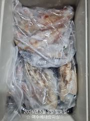한치   슬슬  나오기  시작했습니다.  30~40미터까지   부상하여  먹이  활동을  하고  있습니다.   이번주  기상도  좋고  물때도  아주  좋습니다.  한치  터질때  되었습니다.  이번주  한치  함께  대박   터트리러   가봅시다.  감사합니다 
