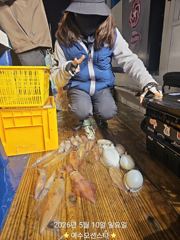 ✅️여수오션스타 5월10일 한치 조황 다음주 자리여유