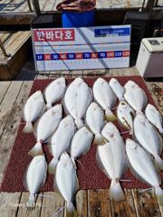 5월10일조황입니다~^^오늘도 고생 하셨습니다 ????