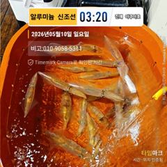 (18석)먼바다왕한치 !!!일욜입항조황=화,수,목,금,일 예약가능