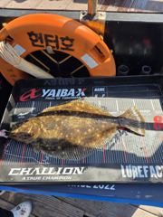 삼길포 헌터호 5/10 우럭ㆍ광어 조황