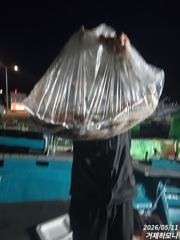 (거제하모니호)대포한치 퍽퍽합니다