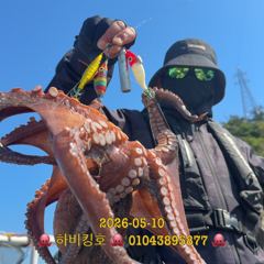 10일문어입항