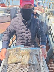 * 군산 아레나호 * 쭈꾸미 조황 ~~ 주말 참돔 피딩 출조