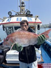 참돔 흘림 5월13일 조황
