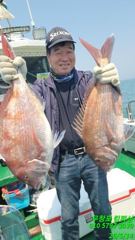 14일 참돔흘림 조황 입니다