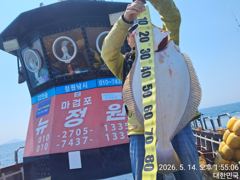 5월14일 대광어 조황입니다