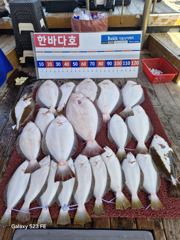 5월17일 조황입니다 ~이번주도 알배기 암놈 조사님이 방생해주었습니다~ 오늘도 조사님들 열낚하시느라 고생하셨습니다 ^^♡ 감사합니다 ❤️