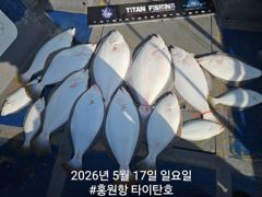 홍원항 타이탄호 5월17일(일) 광어다운샷 '한방''인생고기'