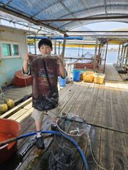 5.17 성호좌대 조황소식