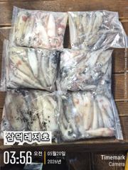 [한치]퍼,담았어요,평균,80수,100수오바2분(토,일출항확정)