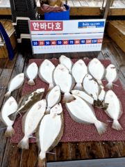 5월20일 한번출항~ 조황입니다 ^^ 궂은날씨에 비도오고 바람도불고 조사님들 넘 고생하셨습니다 ~♡ 우리 담에 또 만나요~^^♡