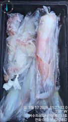먼바다 한치 일요일 자리여유 기상좋습니다.여수피싱도시어부 16석루키나호.