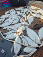 오늘의조황 - 5월 18일 삼길포 헤르메스 조황 - 삼길포 헤르메스 우리좌대