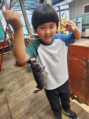 5.23 성호좌대 조황소식