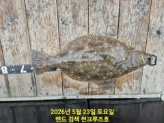 23일 썬크루즈호 대광어 다운샷 실시간 조황입니다