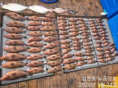 5월24일 대박조황~~ㅋ