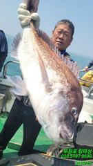 참돔 선상흘림 및 갯바위 조황입니다