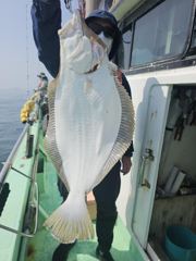 해진호 5월 24일 대광어 조황