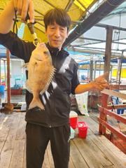 5.24 성호좌대 조황소식