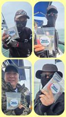[무창포 플러스호] 5월 24일 묵직한 손맛의 향연. 산란갑오징어낚시, 29일.30일.31일.예약가능 010-3304-7556