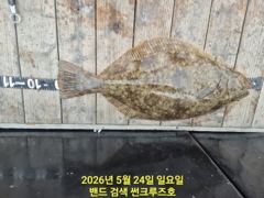 24일 군산 썬크루즈호 6분 모시고 대광어 다운샷 출조 조황입니다