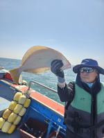 우럭조황 글만 보기
