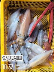 [한치]좋은날씨.100수 가즈아(오늘출항확정,자리널널)