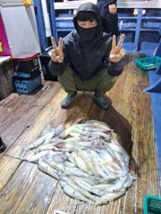 25일 한치입항조황입니다.. 사이즈 마릿수 나오기시작~