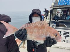 삼길포 블루오션호 5/25 타이라바 조황
